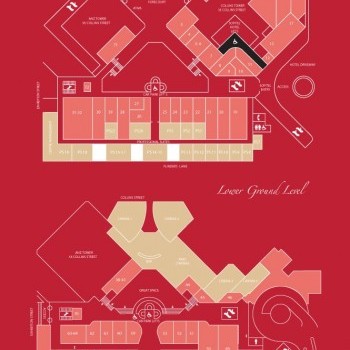 Plan of Collins Place