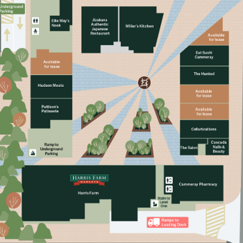 Plan of Cammeray Square